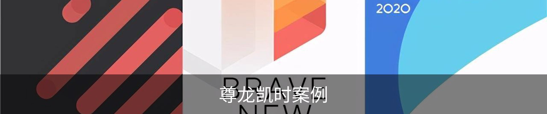 尊龙凯时案例